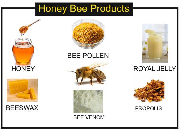 Honey bee products new arrivals